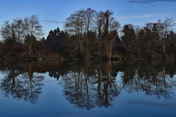 Fototapeta premium Reflection of trees in a landscape of water