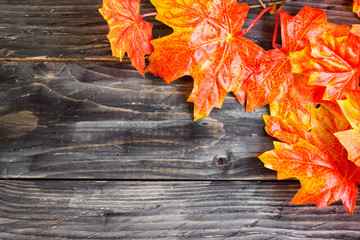Wooden background in rustic style with decorative maple leaves