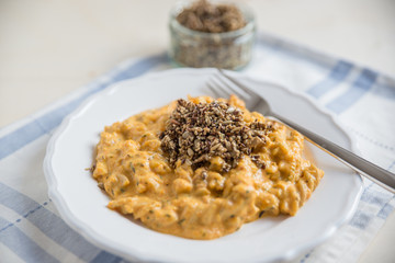 Pasta mit Käsesauce 