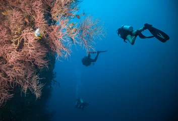Foto op Canvas Group of scuba divers exploring coral reef © Jag_cz