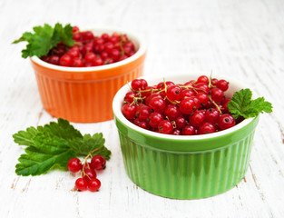 fresh red currant