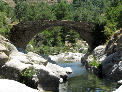 The Genoese bridge of Albertacce on Golo River near Casamaccioli, Corsica