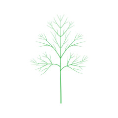 Green Dill icon