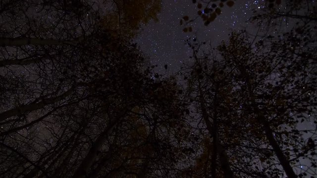 MoCo Astro Timelapse of Stars over Fall Foliage in Eastern Sierra -Zoom In- 