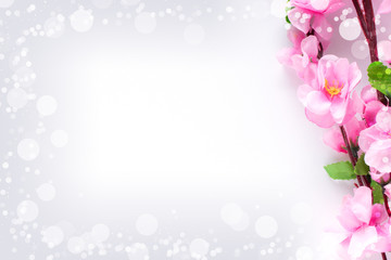 Kirschblüte mit Bokeh Hintergrund
