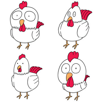 vector set of chicken