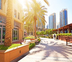 Obraz premium Dubai Marina. UAE