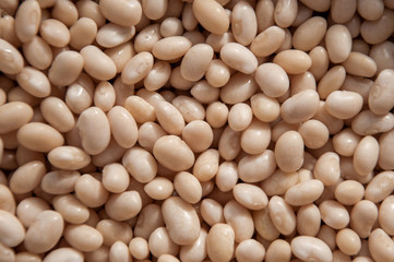 white beans, closeup studio shoot