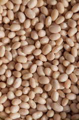 white beans, closeup studio shoot