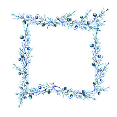 Watercolor card, frame with a pattern of wild trasteny, herbs. Juniper, branches with berries, blue.