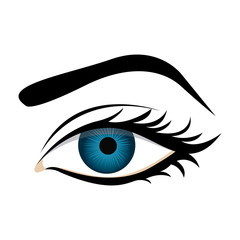 color silhouette with female eye and eyebrow vector illustration