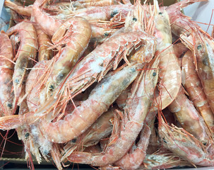 Prawns in fishmongers