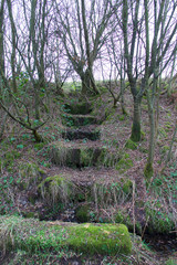 Stone steps 