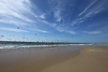 Fototapeta na wymiar Vagueira beach in Aveiro, Portugal
