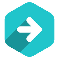 Arrow Sign Hexagon Icon Flat Style