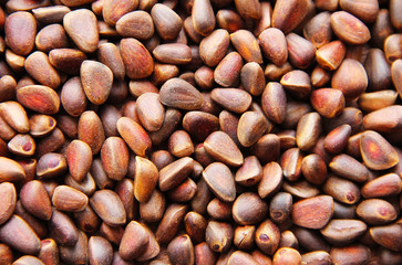 Pine nuts - small seeds of Siberian cedar pine.