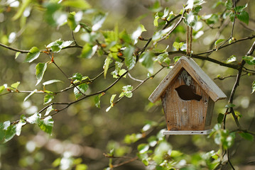Little Birdhouse in Spring new leaves