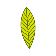 silhouette green leaf with ramifications vector illustration