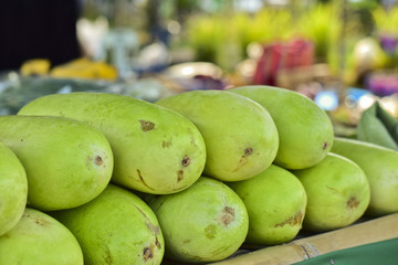 Green winter melon for sell at market, Benincasa hispida