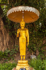 golden  Buddha