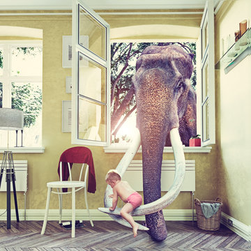  The elephant in the room. Photocombination concept
