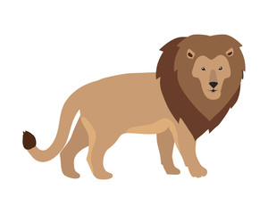 Lion King Illustration