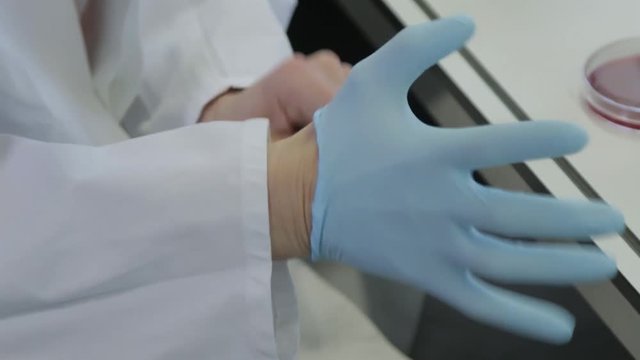 Schutzhandschuhe anziehen