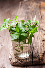 branches of mint in a glass