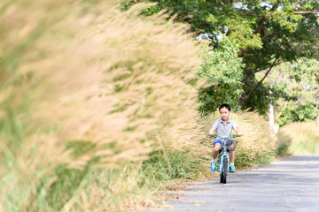 Obraz premium Boy riding bicycle on the road.