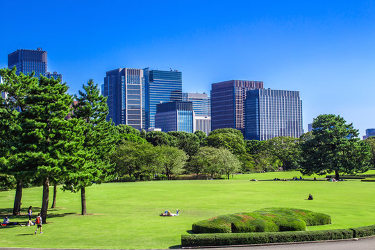 Imperial Palace East Gardens In Tokyo, Japan