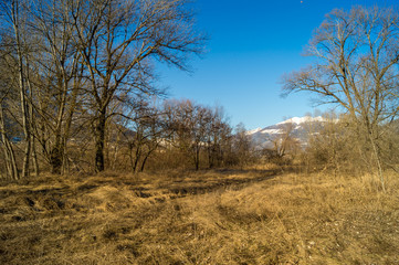 mountain panorama, walk in the forest with trees