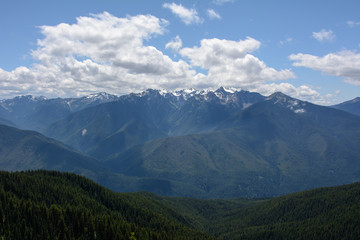 Landscape in the mountains, Olympic National Park, Washington, USA