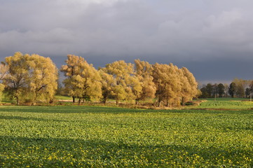 Polska - Mazury - Warmia