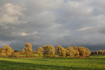 Polska - Mazury - Warmia © Rafa