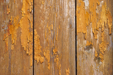 Background from vertical wooden boards 