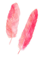Watercolor flamingo feathers