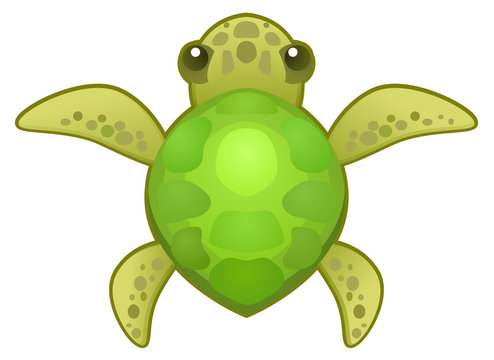 Cartoon small turtle animal, vector illustration, horizontal, isolated
