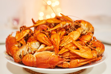 Plate with cooked freshwater crayfish red on white table close up on a bright background