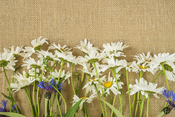bouquet of daisies on sackcloth background