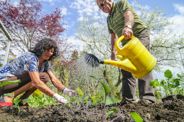 Teamwork bei der Gartenarbeit
