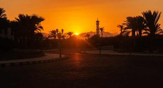 silhouette of palm trees, mosque at sunset