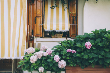Fototapeta na wymiar Colorful house facades, Mediterranean architecture with a hydrangeas planted nearby