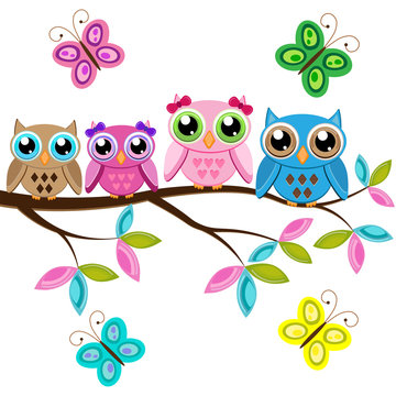 Four owls on a branch with butterflies