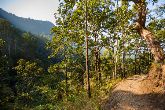Path to Siddha Cave