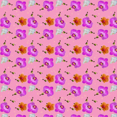 Seamless pattern of various flowers orchids