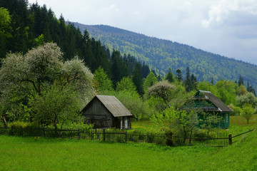 Mountain landscape, a house in the mountains, spring, garden in blossom.