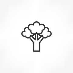 Broccoli icon