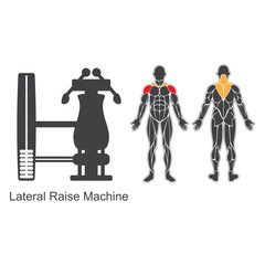 Gym lateral raise machine