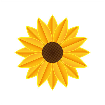Yellow spring sunflower. Vector icon