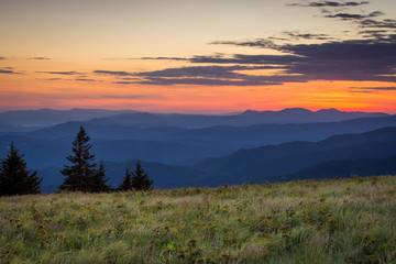 Fototapeta na wymiar The lush summer landscape at Roan Mountain as I hike along the Appalachian trail at sunrise on the border of North Carolina and Tennessee. 